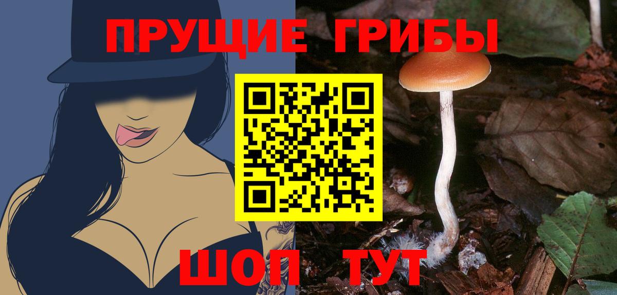 Псилоцибиновые грибы GOLDEN TEACHER  Галлюциногенные грибы мухоморы  Вход с VPN  Осинники 